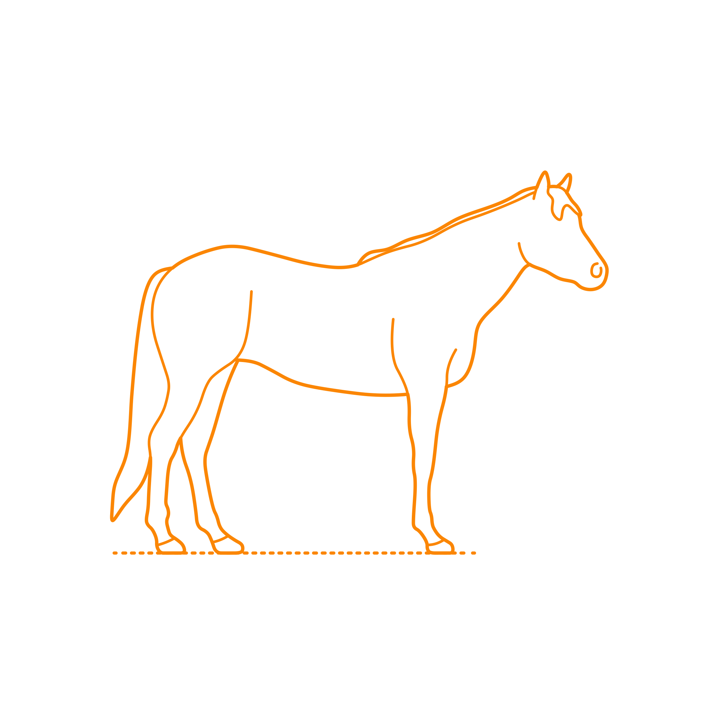 Animals Horses Thoroughbed Horse Sticker Svg Vector Free Vectors